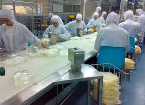 食品厂防尘生产流水线设备 洁净生产的关键保障